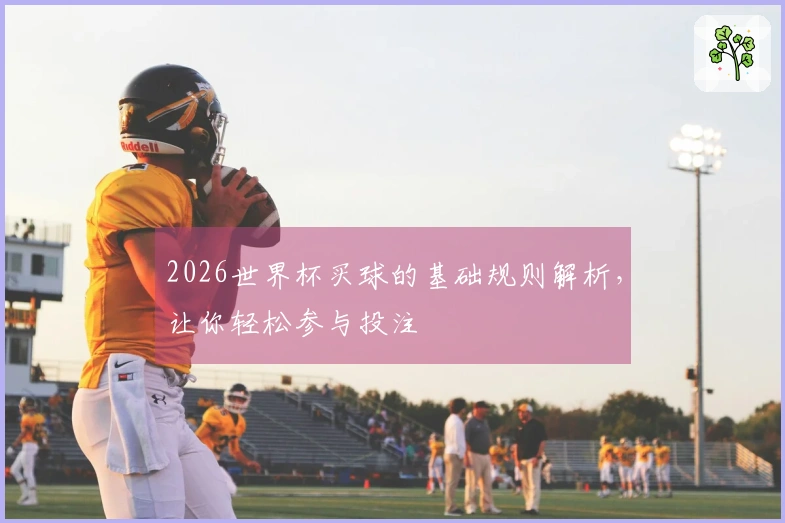 2026世界杯买球的基础规则解析，让你轻松参与投注