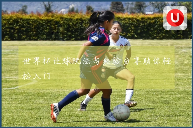 世界杯让球玩法与经验分享助你轻松入门