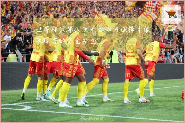 世界杯买球投注平台如何选择才能保障您的资金安全